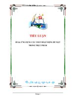 TIỂU LUẬN Đề tài: ỨNG DỤNG CÁC CHẤT HOẠT ĐỘNG BỀ MẶT TRONG THỰC PHẨM docx