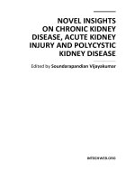 Novel Insights on Chronic Kidney Disease, Acute Kidney Injury and Polycystic Kidney Disease Edited by Soundarapandian Vijayakumar pdf