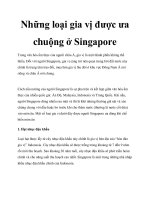 Những loại gia vị được ưa chuộng ở Singapore doc
