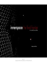 Inner space the final frontier pot