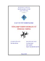 tổng hợp terpin hydrate từ tinh dầu thông