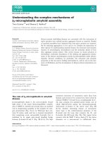 Báo cáo khoa học: Understanding the complex mechanisms of b2-microglobulin amyloid assembly potx