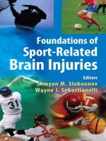 Foundations of Sport-Related Brain Injuries pot
