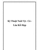 Kỹ Thuật Nuôi Vịt - Cá Lúa Kết Hợp ppt