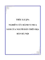 TIỂU LUẬN: NGHIÊN CỨU HÀNH VI MUA SẮM CỦA NGƯỜI DÂN TRÊN ĐỊA BÀN HÀ NỘI docx