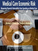 Medical Care Economic Risk Measuring Financial Vulnerability from Spending on Medical Care docx