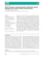 Báo cáo khoa học: Roles of prolactin-releasing peptide and RFamide related peptides in the control of stress and food intake potx