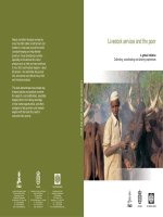 Livestock services and the poor - A global initiative Collecting, coordinating and sharing experiences pptx
