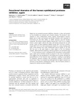 Báo cáo khoa học: Functional domains of the human epididymal protease inhibitor, eppin docx