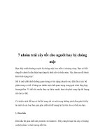 7 nhóm trái cây tốt cho người hay bị chóng mặt pdf