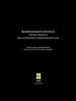 ADMINISTRATIVE JUSTICE: CENTRAL ISSUES IN UK AND EUROPEAN ADMINISTRATIVE LAW doc