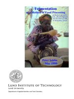 Fermentation as a Method of Food Processing ppt