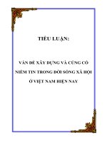 TIỂU LUẬN: VẤN ĐỀ XÂY DỰNG VÀ CỦNG CỐ NIỀM TIN TRONG ĐỜI SỐNG XÃ HỘI Ở VIỆT NAM HIỆN NAY pdf