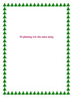 10 phương trà cho mùa nóng. potx