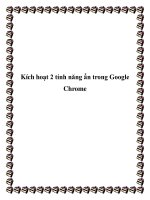 Kích hoạt 2 tính năng ẩn trong Google Chrome doc