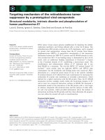 Báo cáo khoa học: Targeting mechanism of the retinoblastoma tumor suppressor by a prototypical viral oncoprotein Structural modularity, intrinsic disorder and phosphorylation of human papillomavirus E7 doc