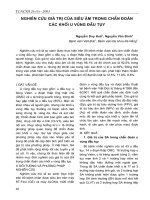 Nghiên cứu giá trị của siêu âm trong chẩn đoán các khối u vùng đầu tụy pptx