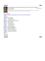 Global Brand Strategy 2010 potx