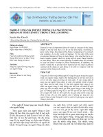 NGHI LỄ TANG MA TRUYỀN THỐNG CỦA NGƯỜI NÙNG (KHẢO SÁT Ở HUYỆN ĐỨC TRỌNG TỈNH LÂM ĐỒNG) potx