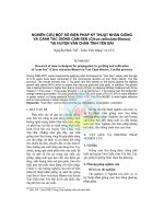 Nghiên cứu một số biện pháp kỹ thuật nhân giống và canh tác giống cam Sen (Citrus reticulata Blanco) tại huyện Văn Chấn tỉnh Yên Bái ppt