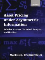 Asset Pricing under Asymmetric Information ppt