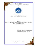 Chiến lược thâm nhập thị trường EU năm 2015 cho Hoa lan Đồng Tháp