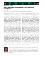 Báo cáo khoa học: Death-associated protein kinase (DAPK) and signal transduction pptx