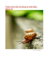 thấy mình tốt rồi đúng là một điều đáng sợ