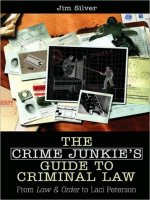 The Crime Junkie’s Guide to Criminal Law docx