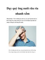 Dạy quý ông nuôi râu ria nhanh xồm docx