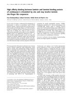 Báo cáo Y học: High afﬁnity binding between laminin and laminin binding protein of Leishmania is stimulated by zinc and may involve laminin zinc-ﬁnger like sequences doc