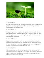 9 quy luật trong cuộc sống