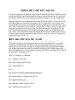 THÍ DỤ BIỂU GHI MỨC ĐẦY ĐỦ pdf