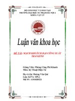 Tiểu luận khoa học - Đề tài: 