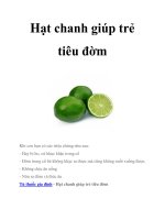 Hạt chanh giúp trẻ tiêu đờm ppt