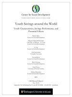 Youth Savings around the World - Youth Characteristics, Savings Performance, and Potential Effects docx