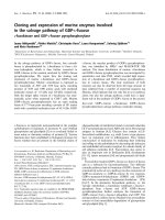Báo cáo khóa học: Cloning and expression of murine enzymes involved in the salvage pathway of GDP-L-fucose ppt