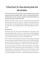 Trồng khoai tây bằng phương pháp làm đất tối thiểu potx