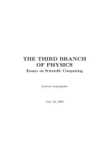 The third branch of physics, eassys in scientific computing   norbert schaorghofer