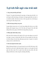 Lợi ích bất ngờ của trái mít docx