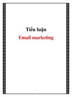 Tiểu luận: Email marketing potx
