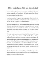 CEO ngân hàng Việt giá bao nhiêu? pot