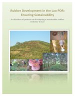 Rubber  Development  in  the  Lao  PDR:                          Ensuring  Sustainability potx