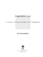 Capitalism 3.0 docx