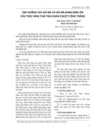 Ảnh hưởng của Hải Mã và Hải Mã - Nhân Sâm lên cấu trúc hình thái tinh hoàn chuột cống trắng ppt