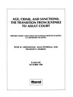 Age, crime, and sanctions: The transition from juvenile to adult court doc