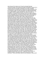 the hidden life of dogs