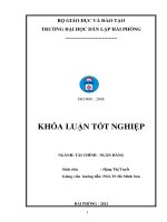 Giải pháp phát triển dịch vụ thẻ ngân hàng tại Ngân hàng thương mại cổ phần Hàng Hải Việt Nam – chi nhánh Hải Phòng