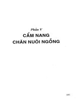 Cẩm nang chăn nuôi ngỗng pot