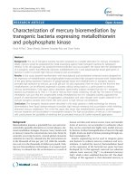Characterization of mercury bioremediation by transgenic bacteria expressing metallothionein and polyphosphate kinase pdf